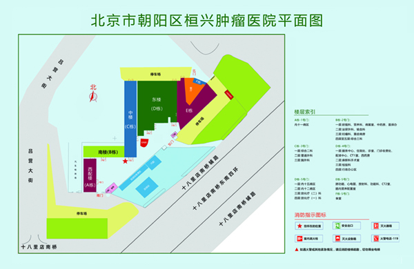 大鸡吧操骚批批视频北京市朝阳区桓兴肿瘤医院平面图